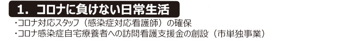 選挙公報に掲載された稲川智美議員の看護師確保と医療公約