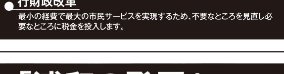 選挙公報に掲載された行財政改革公約