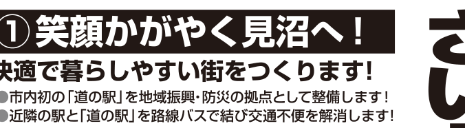 選挙公報に掲載された道の駅整備公約