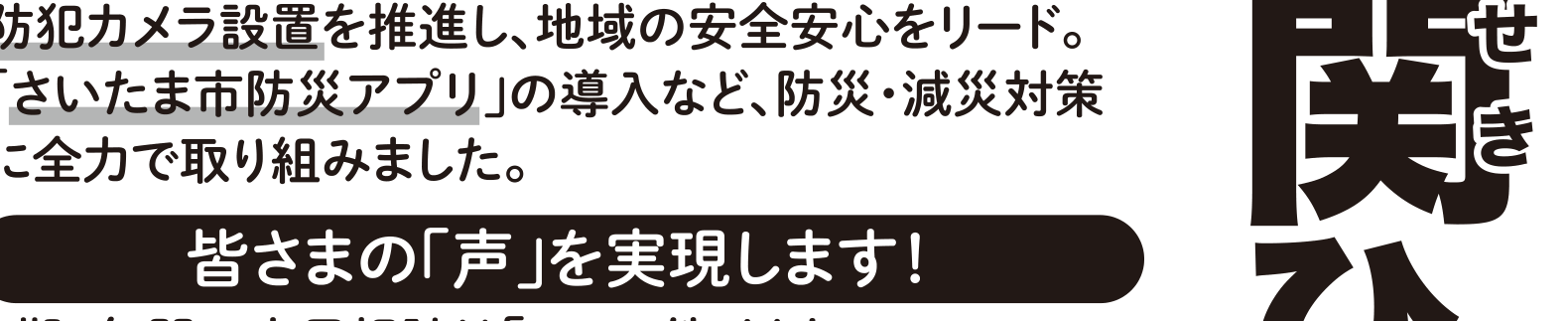 選挙公報記載の帯状疱疹ワクチン助成公約