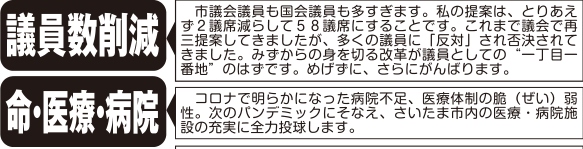 選挙公報記載の身を切る改革と議員定数削減公約