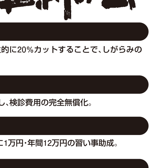 選挙公報記載の介護予防と民生委員体制強化公約