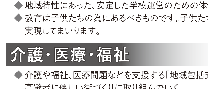 選挙公報記載の医療福祉支援と街づくり公約